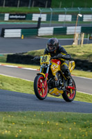 Evening_Adv_Mid_Group_Yellow_Bikes